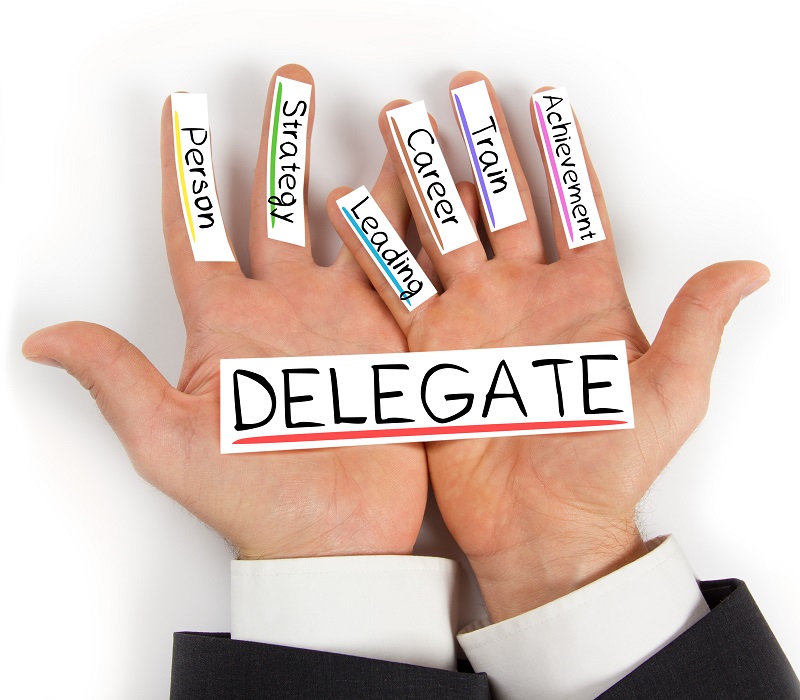 Strategic Practice Solutions Delegation